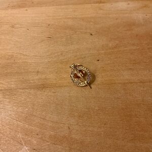 Celtic Tara Brooch penannula irish gold tone lapel pin badge brooch